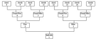 Schéma de la numérotation Stradonitz